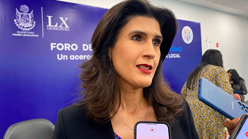 Menor que asesinÃ³ a su compaÃ±ero de clase en QuerÃ©taro fue canalizado al DIF: Mariela Ponce  