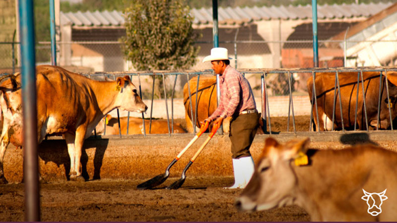 RamÃ³n BarbÃ³n, el triunfador en la ExposiciÃ³n de Holstein
