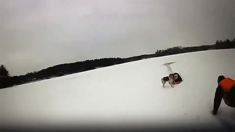 En Michigan, perrita rescata a su dueÃ±o de lago congelado