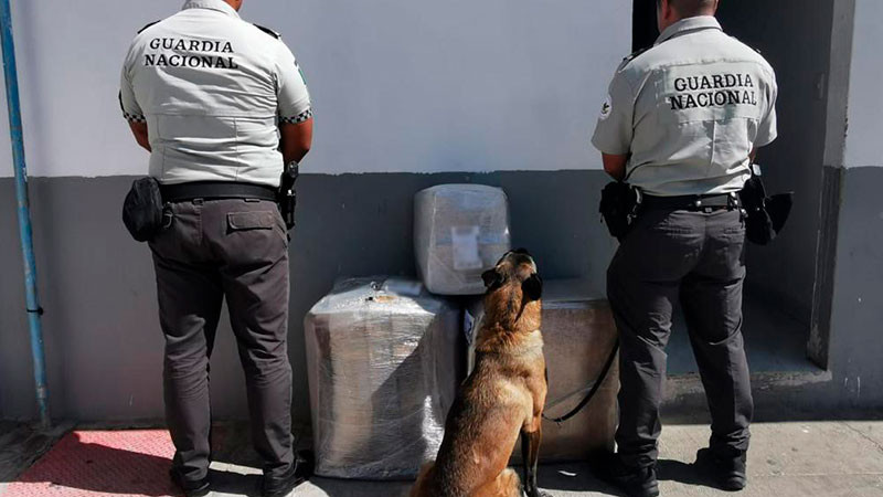 SLP: decomisan 38 kilos de droga en empresa de paqueterÃ­a, pretendÃ­a ser enviado a MichoacÃ¡n