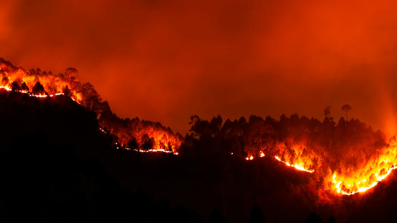 Decretan toque de queda en ValparaÃ­so y ViÃ±a del Mar por incendios forestales; hay al menos 10 muertos