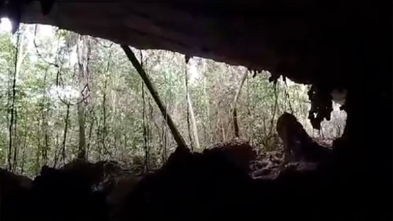 Ecocidio: Ambientalistas denuncian â€œrÃ­o de cementoâ€ causado por el Tren Maya