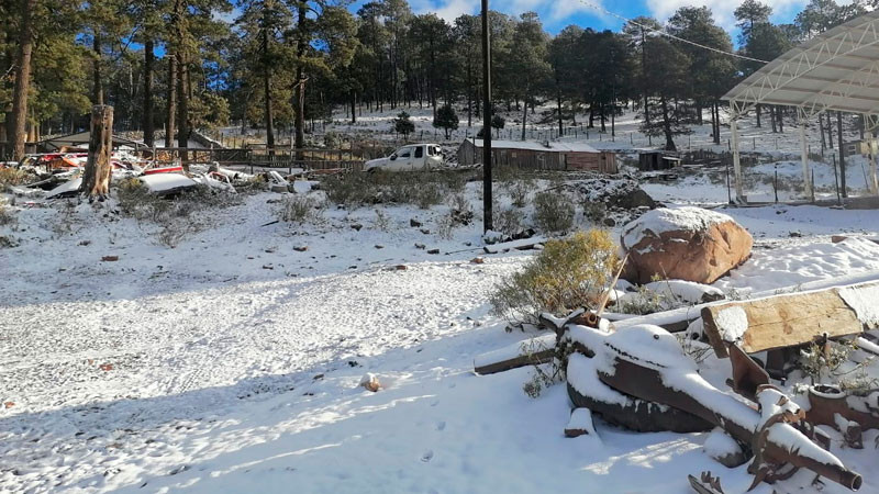 Cierran tramos carreteros por nevadas en la regiÃ³n noroeste de Chihuahua