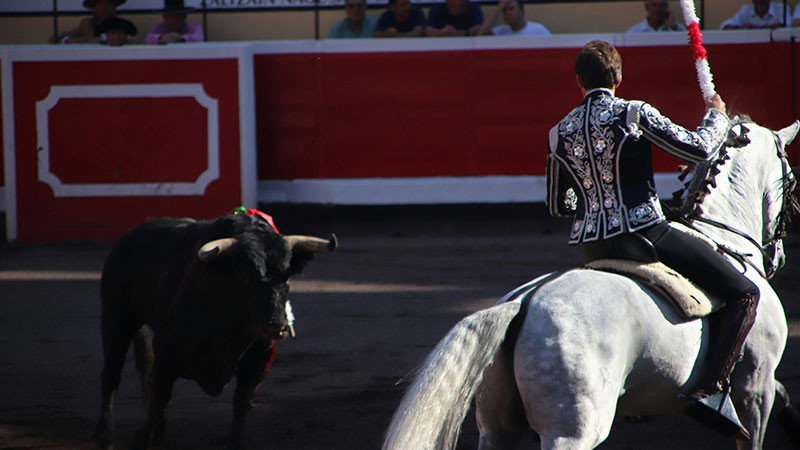 Diputados morenistas promueven consulta pÃºblica sobre corridas de toros 