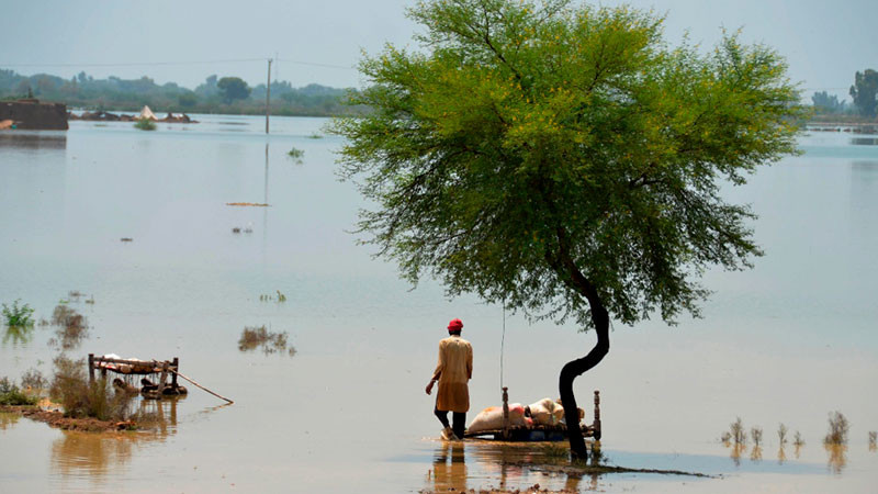 Fuertes lluvias en PakistÃ¡n deja cuatro muertos y nueve heridos