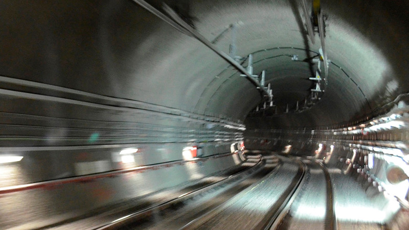 Â¡Para salvar perritos! cortan energÃ­a elÃ©ctrica en vÃ­as de la LÃ­nea 12 del Metro, en CDMX