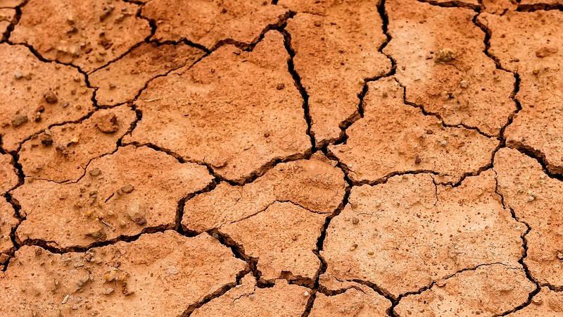 En riesgo actividad pesquera en presas del Valle de MÃ©xico por graves sequÃ­as