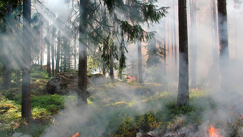 Incendio consume 10 hectÃ¡reas en sierra de Santiago, Nuevo LeÃ³n
