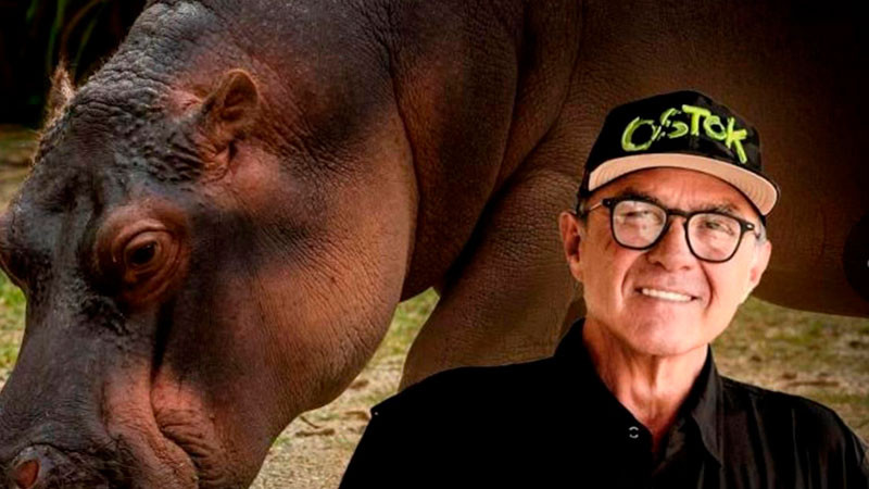 Seguimos listos para translocar a los hipopÃ³tamos de Colombia: ZoolÃ³gicos de MÃ©xico 