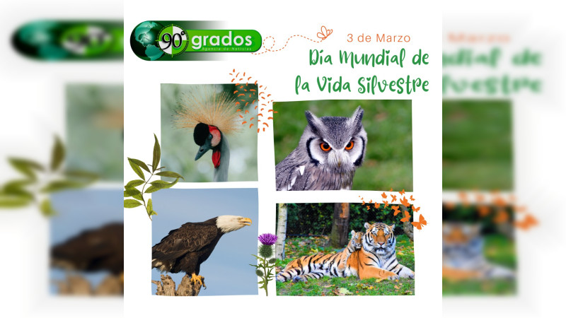 DÃ­a Mundial de la Vida Silvestre: Un llamado a la acciÃ³n para proteger la biodiversidad