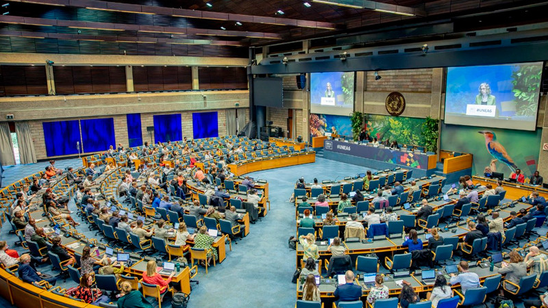 Alerta ONU por trÃ¡fico de material bÃ©lico y criminalidad en AmÃ©rica Latina y el Caribe