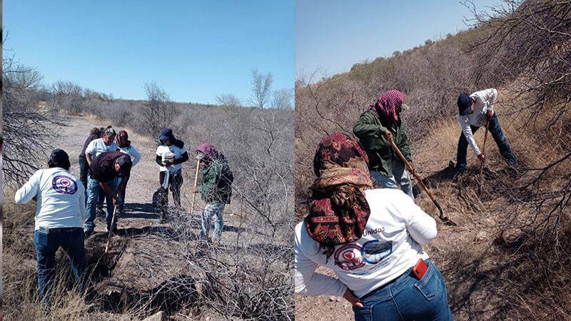 Madres Buscadoras de Sonora hallan tres cuerpos en la carretera a Navojoa