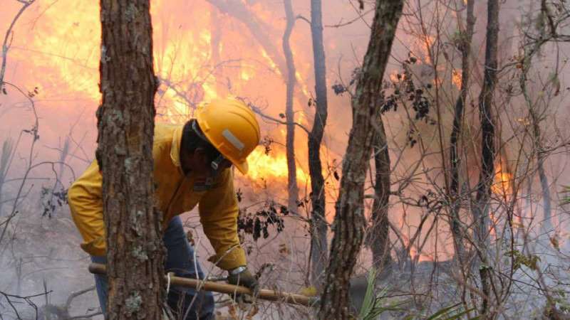 MichoacÃ¡n, octavo estado con mÃ¡s incendios en primer trimestre del aÃ±o