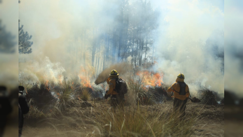 En MÃ©xico, 95 incendios forestales activos: Conafor