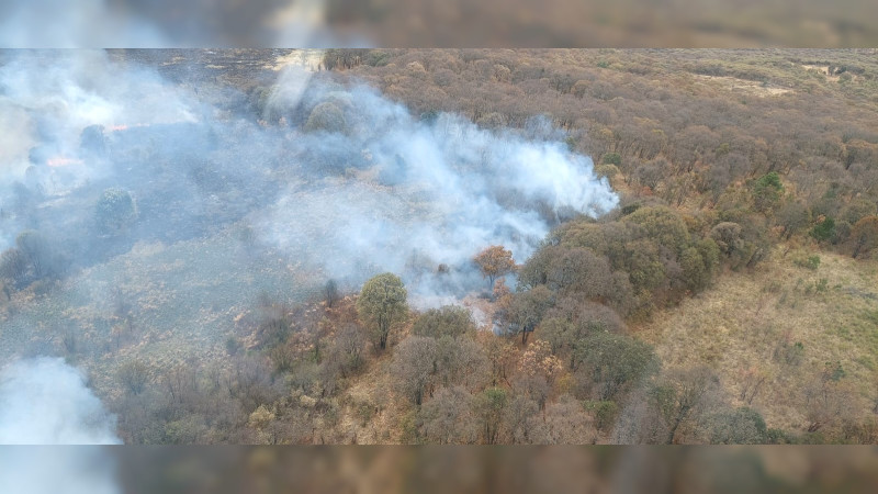 Por tierra y aire se combate incendio forestal en el cerro del Ãguila, en Morelia