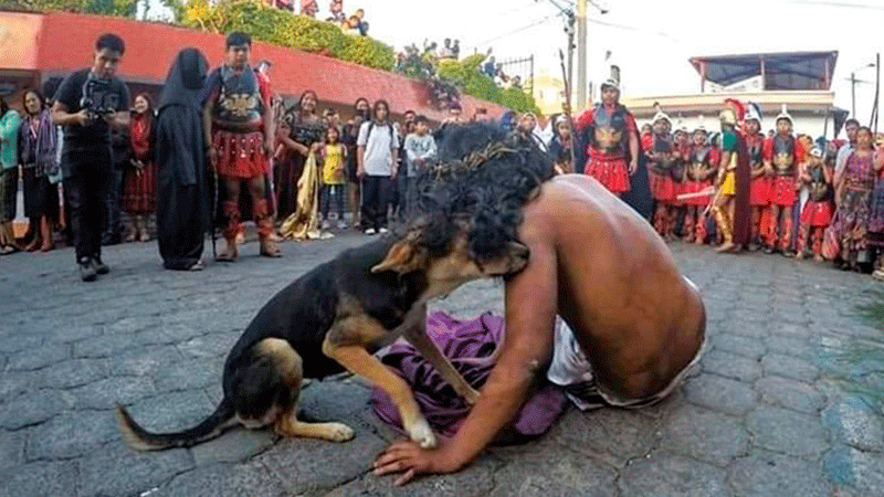 Guatemala: Perrito consuela a actor que interpretÃ³ a JesÃºs en la PasiÃ³n de Cristo