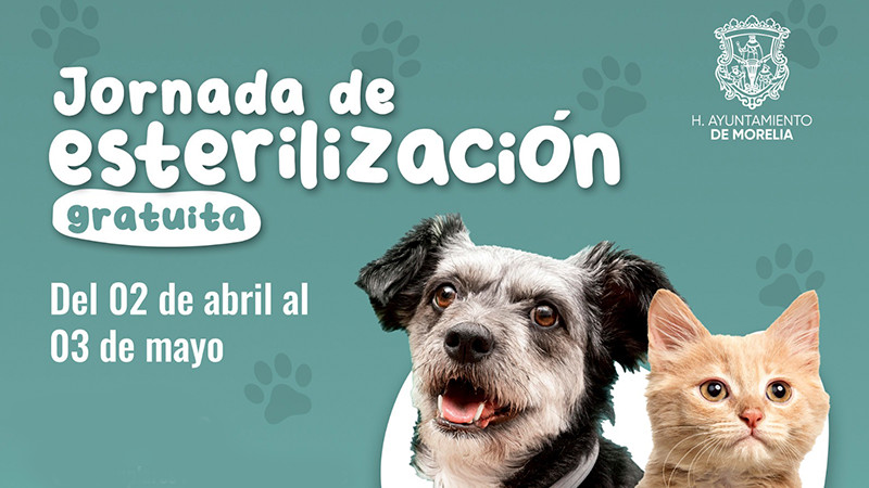 Gobierno de Morelia invita a Jornada de esterilizaciÃ³n para mascotas