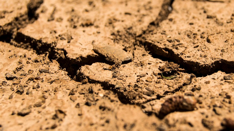 BogotÃ¡ inicia racionamiento del agua ante sequÃ­a en embalses