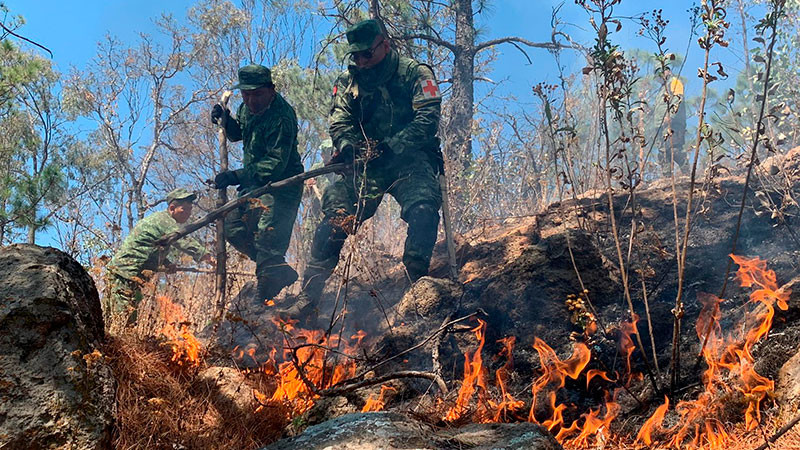 Hay 68 incendios activos en MÃ©xico en 16 estados; tres de ellos en MichoacÃ¡n
