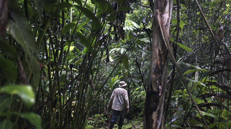 20 defensores del medio ambiente fueron asesinados en 2023: CEMDA