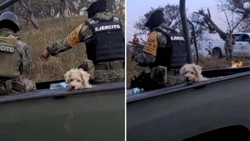 Sedena rescata a perrito de un incendio y es adoptado por militares