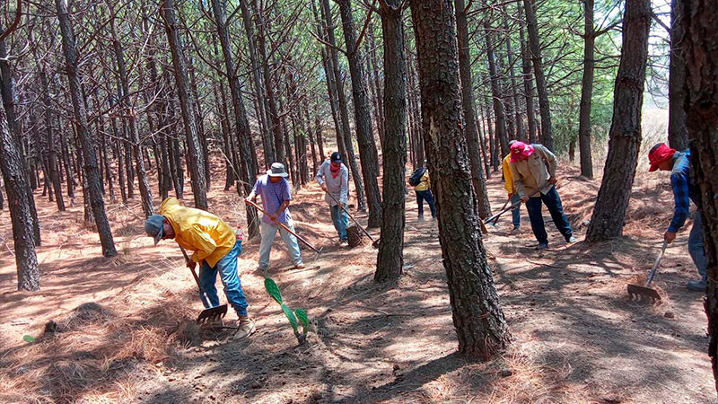 Brigadas forestales atienden 3 incendios en ZinapÃ©cuaro, Ario y Morelia
