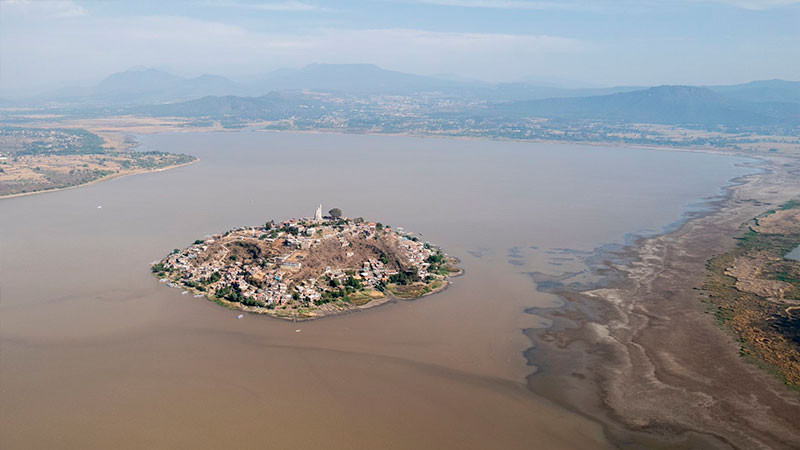 PlantarÃ¡n 1.5 millones de Ã¡rboles para salvar el lago de PÃ¡tzcuaro