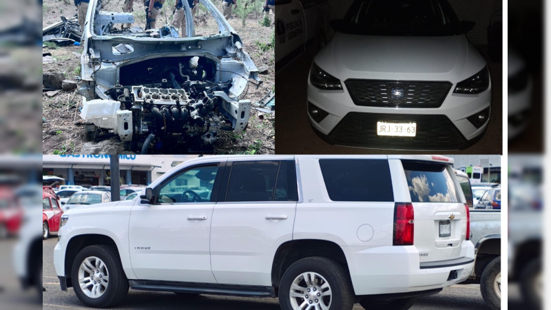 FiscalÃ­a MichoacÃ¡n da golpe a robacoches y traficantes que operaban en 3 entidades: Aseguran 10 mil dosis y autos robados 