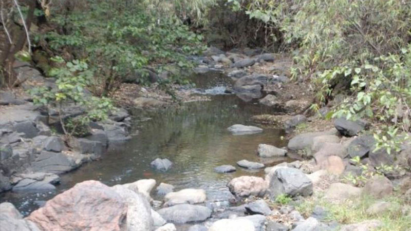 Manantiales de Uruapan con afectaciones por sequÃ­as 