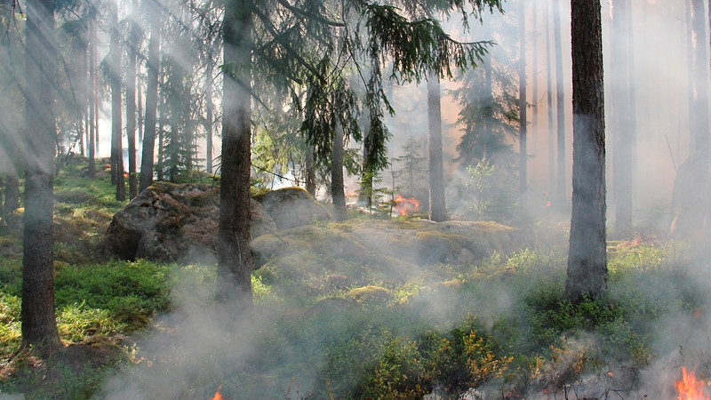 Evacuan a miles por incendios forestales en California y Nuevo MÃ©xico