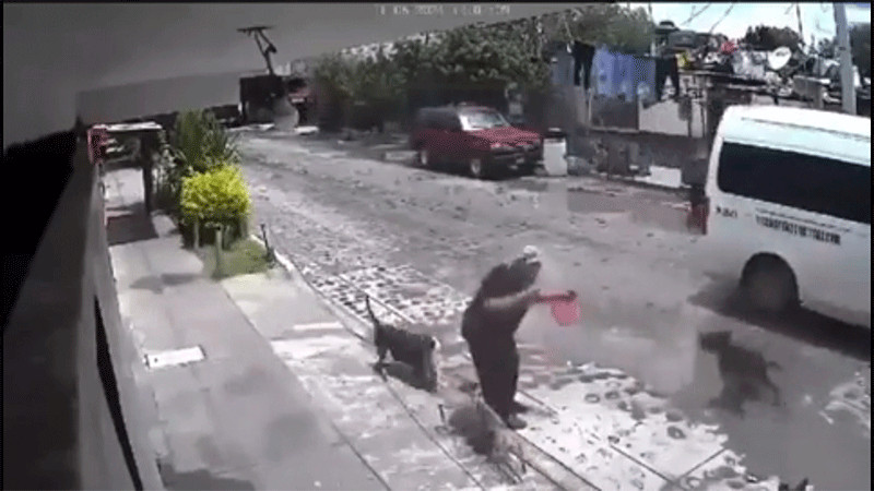 Mujer de la tercera edad es atacada por jaurÃ­a de perros en QuerÃ©taro