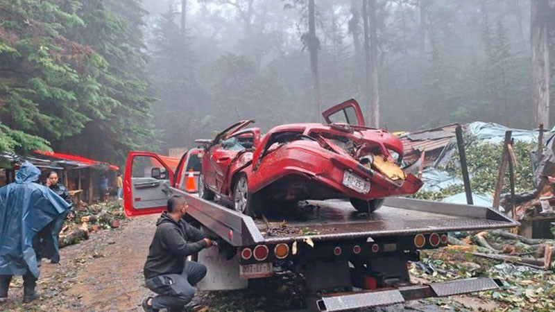 CaÃ­da de Ã¡rbol por lluvias cobra la vida de una persona y lesiona a otras seis en Tenancingo