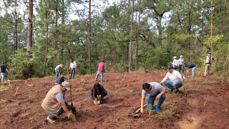 Llama Proam a denunciar actividades contra los suelos