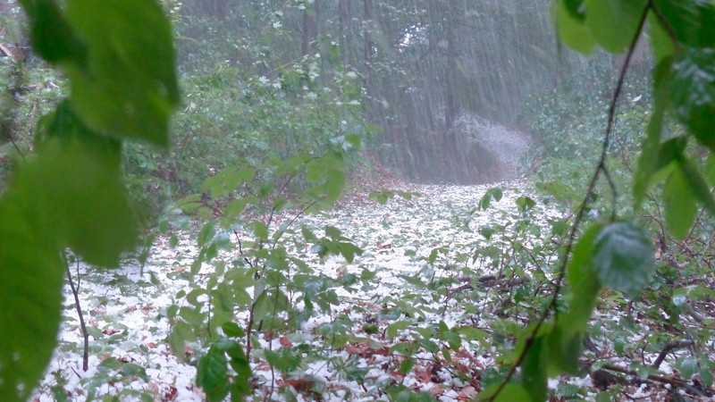 PrevÃ©n lluvias intensas y granizo en varias regiones del paÃ­s