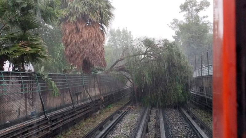Fuertes lluvias derriba Ã¡rbol en vÃ­as del metro CDMX y afecta LÃ­nea 5 