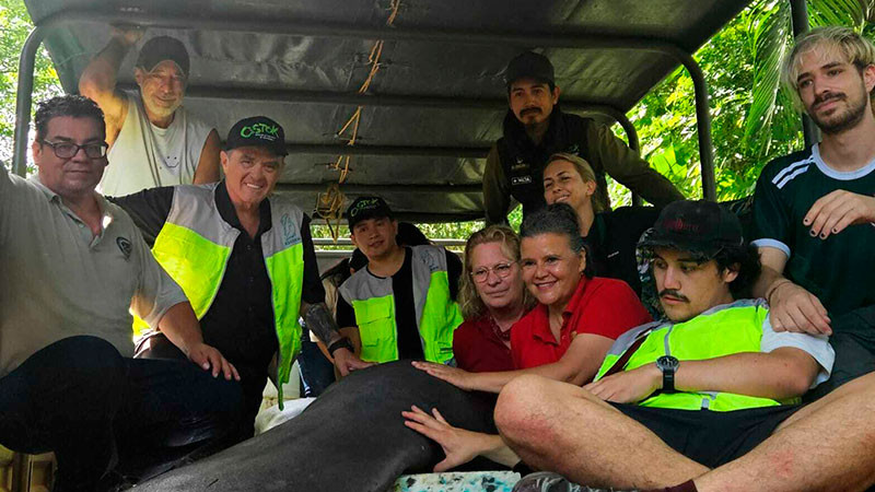 ManatÃ­es rescatados regresan a su hÃ¡bitat gracias a Aluxes Ecoparque y a la AZCARM