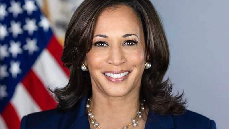 Kamala Harris serÃ¡ la candidata demÃ³crata a la Presidencia de Estados Unidos