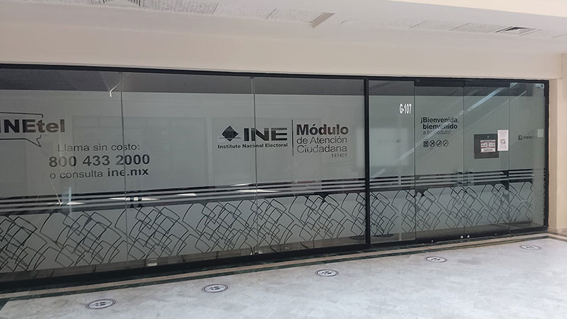 Transparencia revela que los conocidos de Guadalupe Taddei dominan relevos en el INE