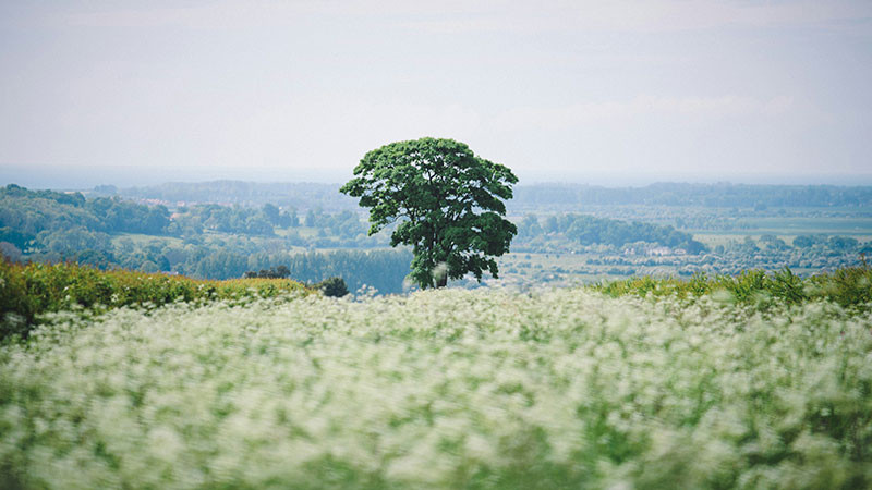 Acuerdan industria y pequeÃ±os propietarios alianza para fortalecer el campo