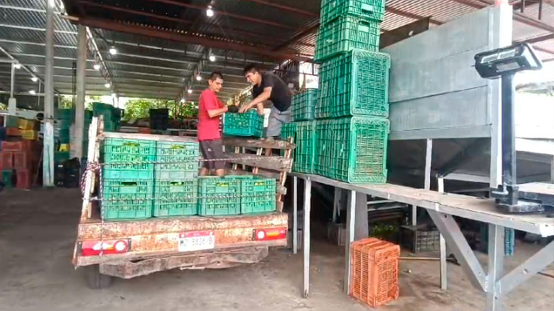 SEGOB presentarÃ¡ denuncia ante FGE por extorsiÃ³n a limoneros 