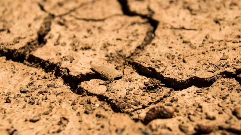 MÃ©xico necesita inversiÃ³n anual de 180 mil mdp para enfrentar crisis hÃ­drica: ONG