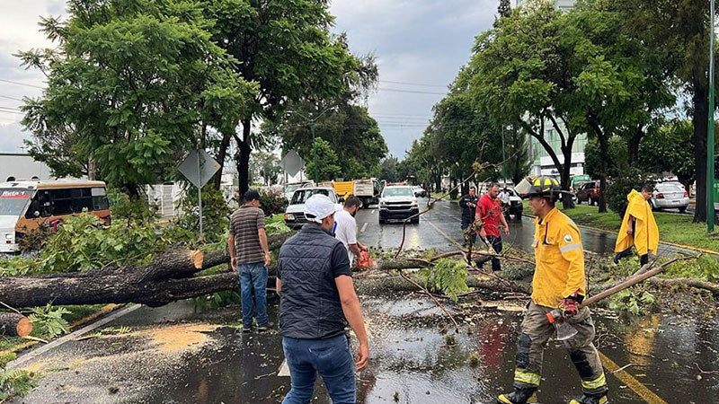 Lluvias en Morelia dejan encharcamientos y Ã¡rboles caÃ­dos 