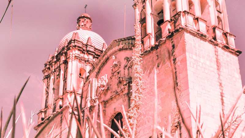 Oaxaca lleva 64 feminicidios en lo que va del aÃ±o