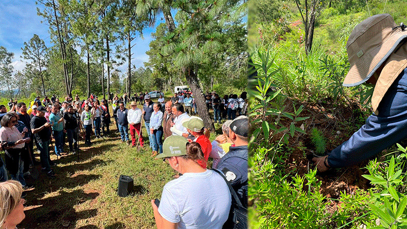 Reforestan cerro Blanco, Ã¡rea protegida para la conservaciÃ³n del lago de PÃ¡tzcuaro
