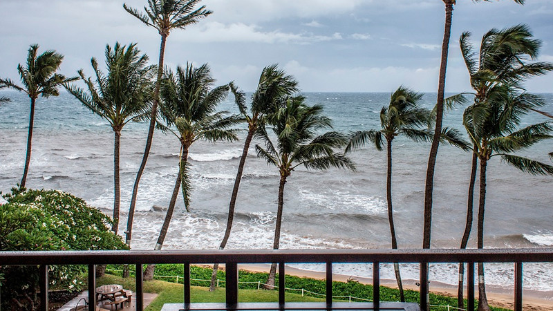 TifÃ³n 'Yagi' deja 3 muertos en su llegada a Vietnam; suma un total de 18 vÃ­ctimas