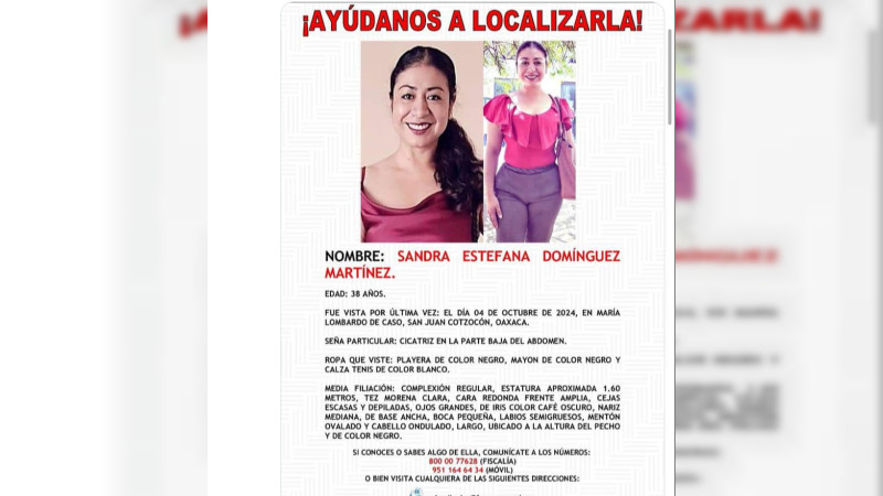 Exhorta ONU a autoridades de Oaxaca a localizar a la activista Ayuuk, Sandra DomÃ­nguez
