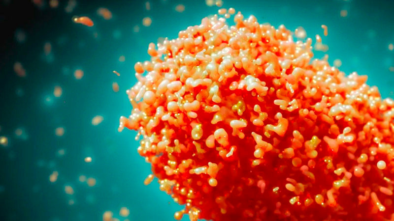 En Ãfrica se registran mÃ¡s de 45 mil casos y mil 14 muertes por mpox