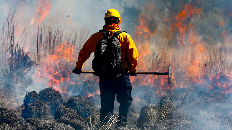Con 417 incendios forestales, Puebla se ubica en sÃ©ptimo lugar a nivel nacional