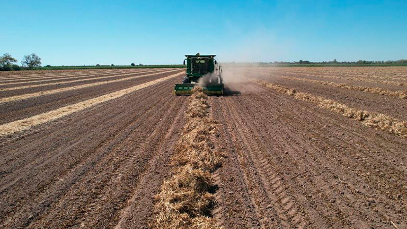 AnunciÃ³ SecretarÃ­a de Agricultura â€œEstrategia nacional de transiciÃ³n agroecolÃ³gica 2024 â€“ 2030â€, ante agrÃ³nomos de UAM