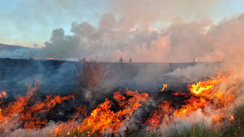 Se registra incendio en el Parque EcolÃ³gico del Lago de Texcoco